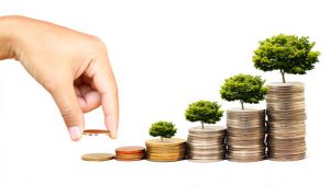 Investing Money Management